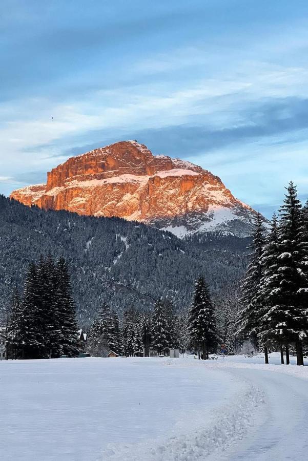 Cesa Pier Sellaronda Dolomiti Campitello di Fassa Exterior foto