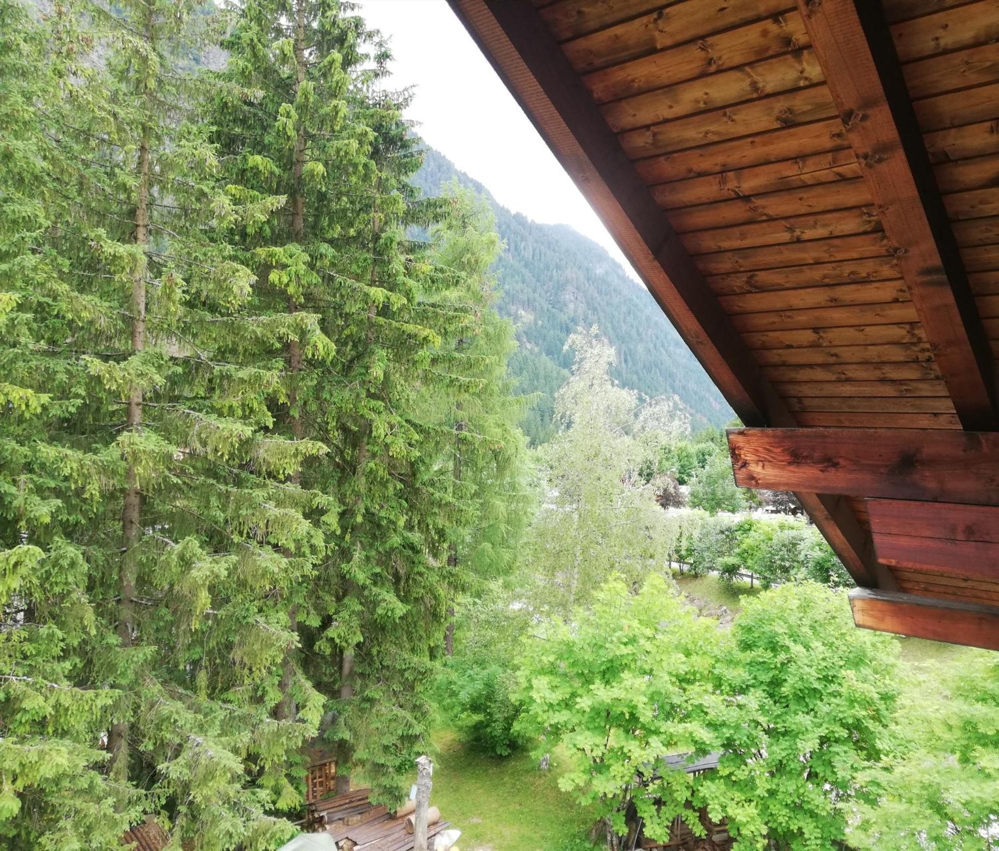 Cesa Pier Sellaronda Dolomiti Campitello di Fassa Exterior foto